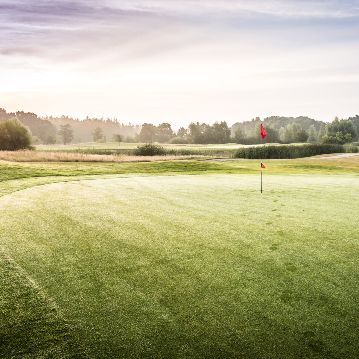 Ein Golfkurs auf der Anlage von Golf Fleesensee.