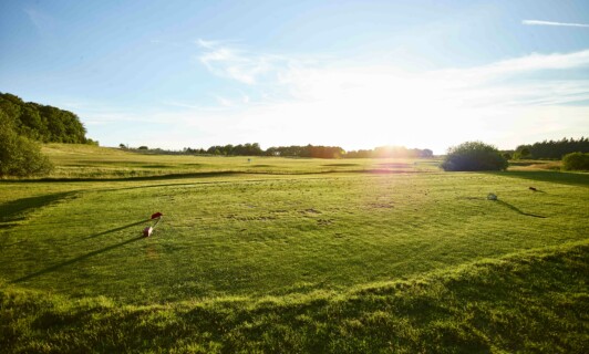 Hauseigene Driving Range auf dem Golfplatz Golf Fleesensee.