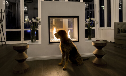 Ein Hund sitzt vor einem Kamin.