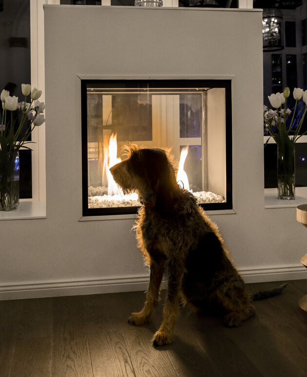 Ein Hund sitzt vor einem Kamin.