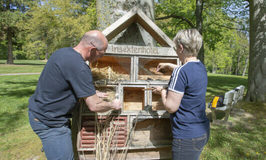 Das Insektenhotel im Schlosspark des Schlosshotels Fleesensee.