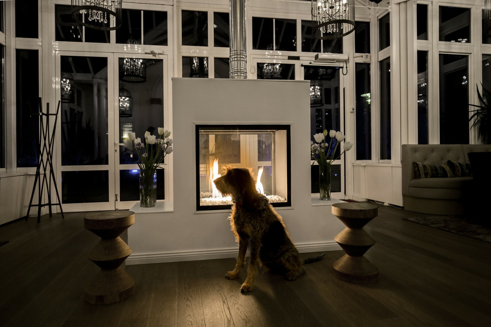 Ein Hund sitzt vor einem Kamin im Schlosshotel Fleesensee.