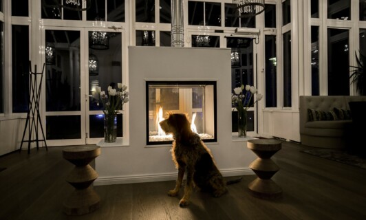 Ein Hund sitzt vor einem Kamin im Schlosshotel Fleesensee.