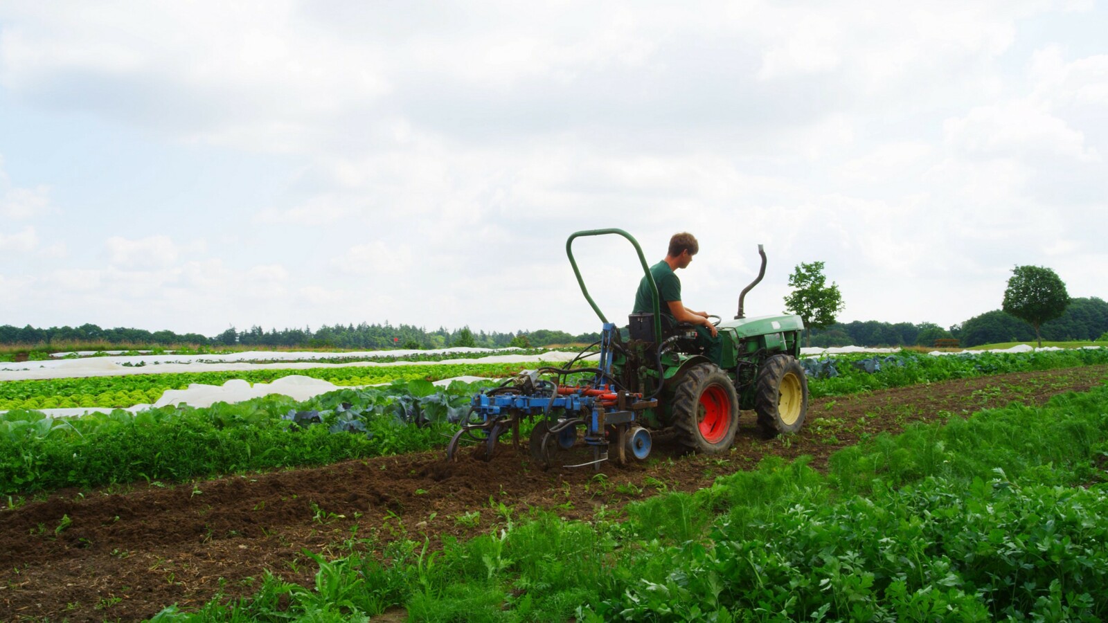 Traktor auf dem Feld der Landwirtschaft Schloss Fleesensee.