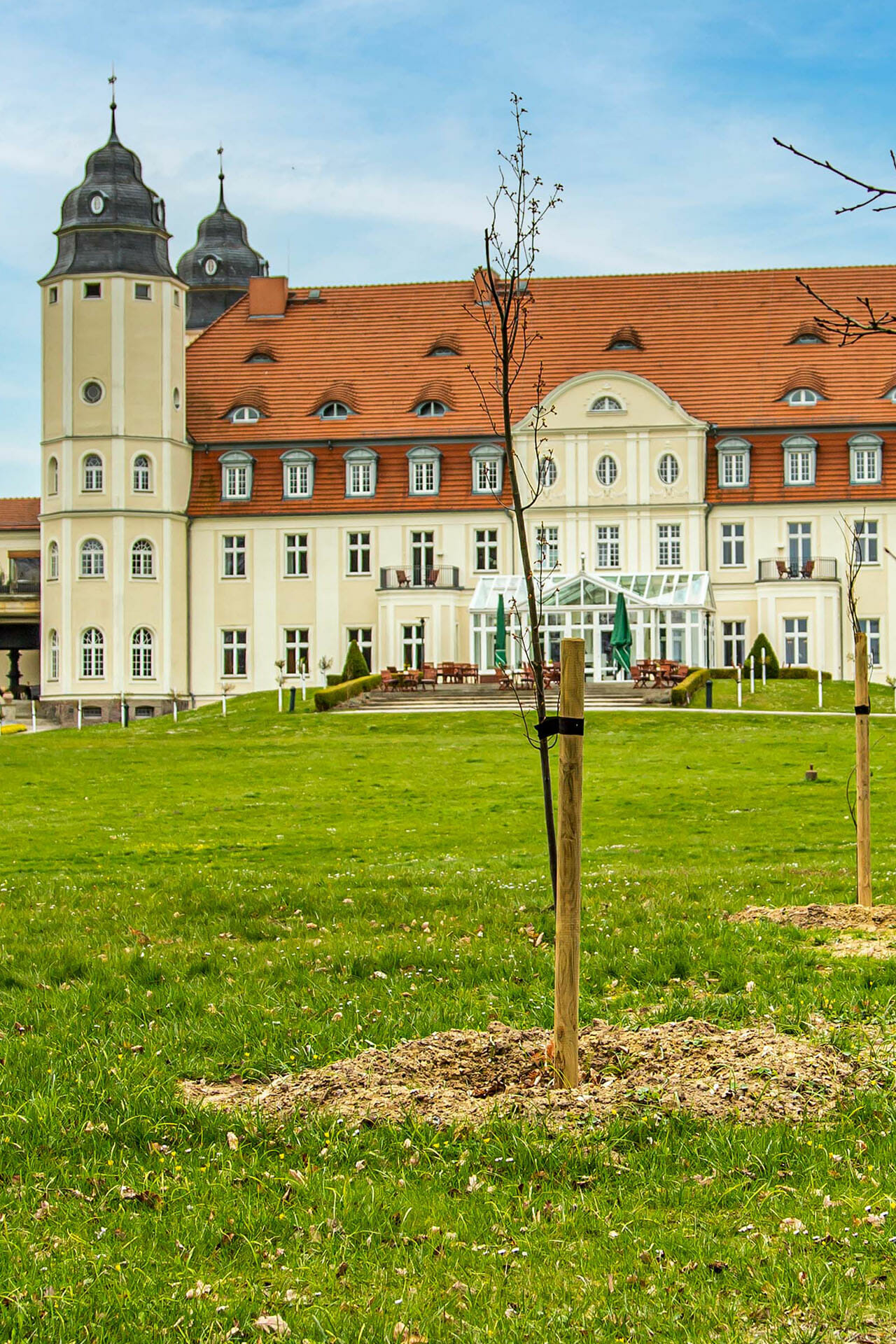 Baumsetzlinge hinter dem Schloss Fleesensee.