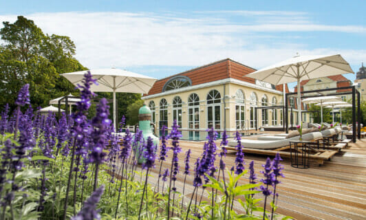 Lila Blumen vor dem Deck des Pools am Schloss Fleesensee.
