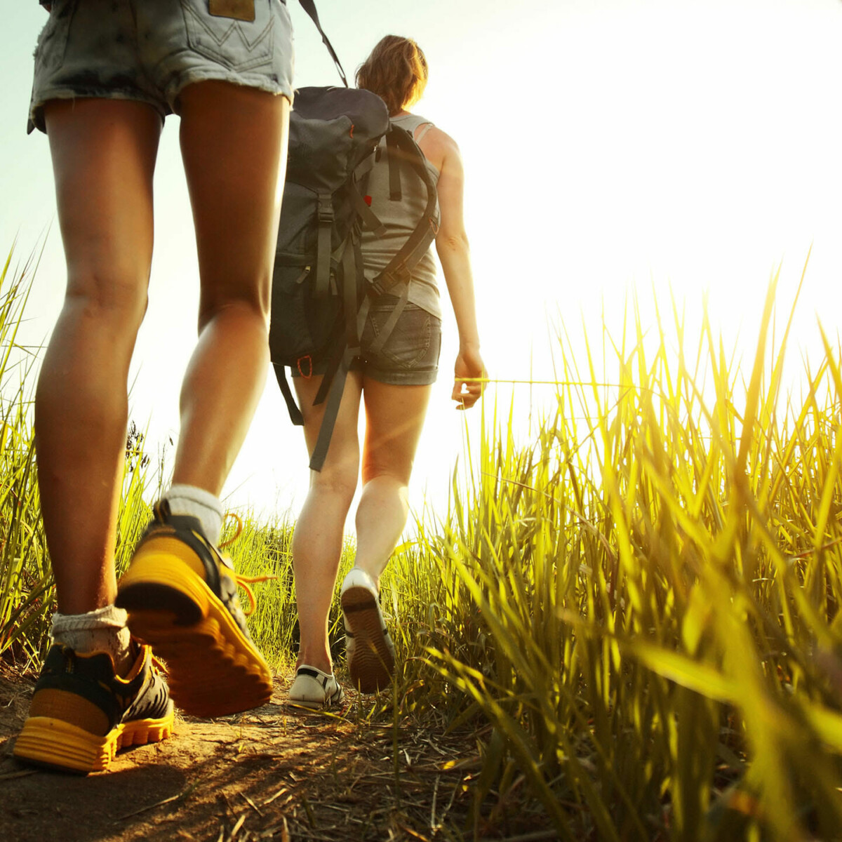 Zwei Personen gehen im hohen Gras wandern.