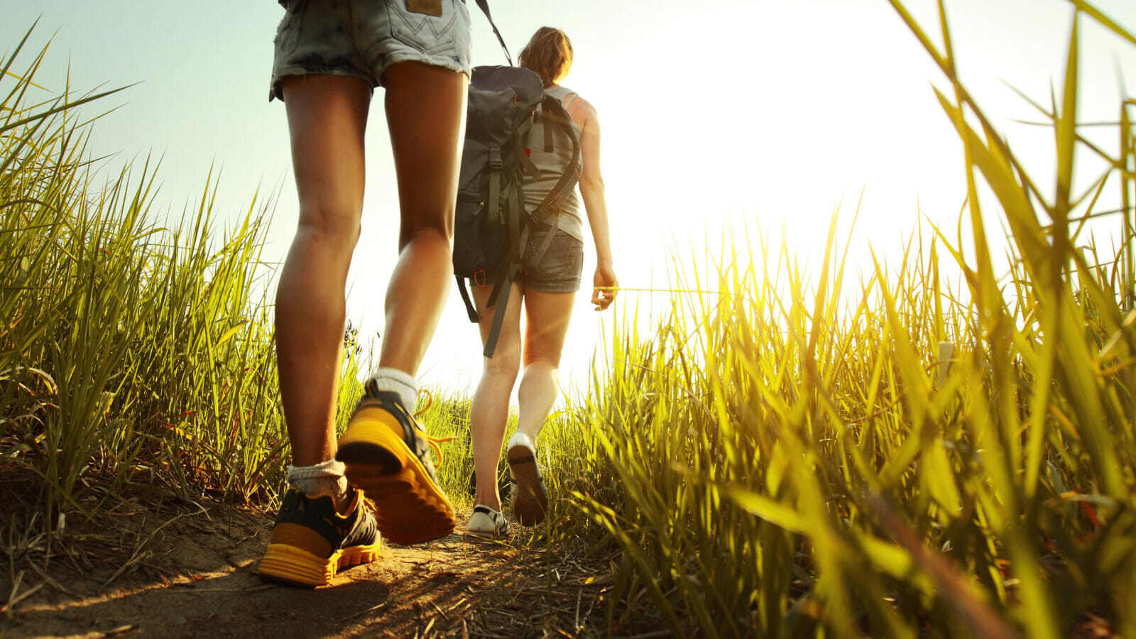 Zwei Personen gehen im hohen Gras wandern.