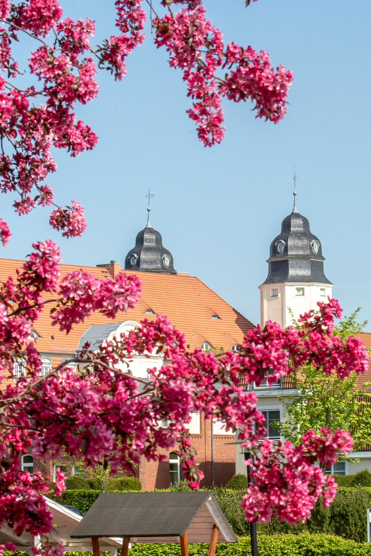 Bäume vor dem Schloss Fleesensee im Frühling.