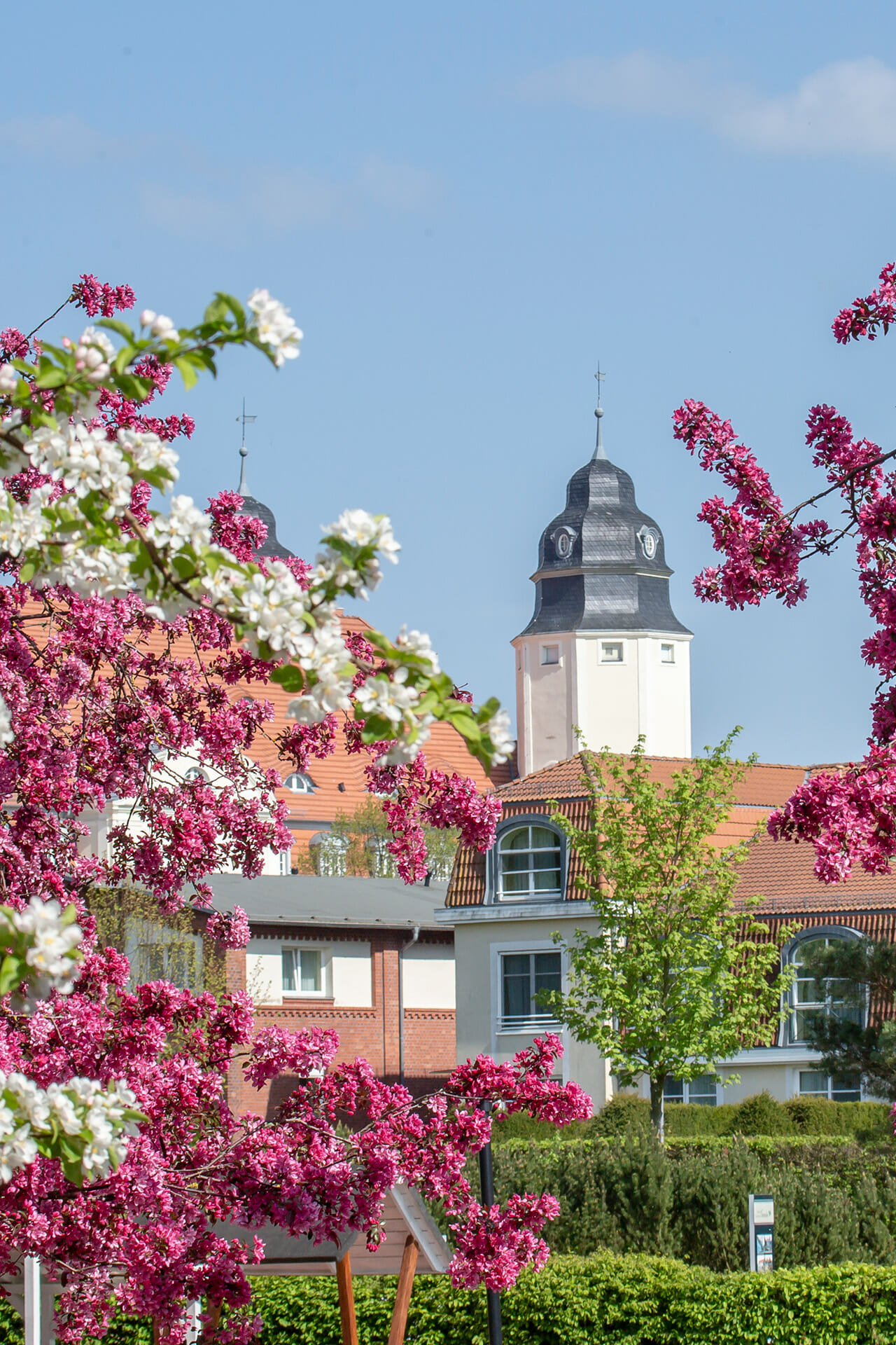 Bäume vor dem Schloss Fleesensee im Frühling.