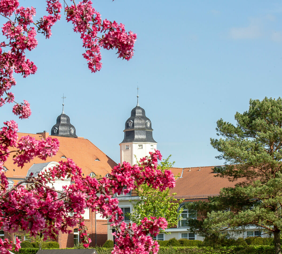 Bäume vor dem Schloss Fleesensee im Frühling.