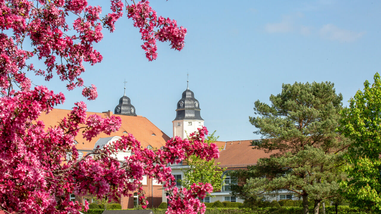 Bäume vor dem Schloss Fleesensee im Frühling.