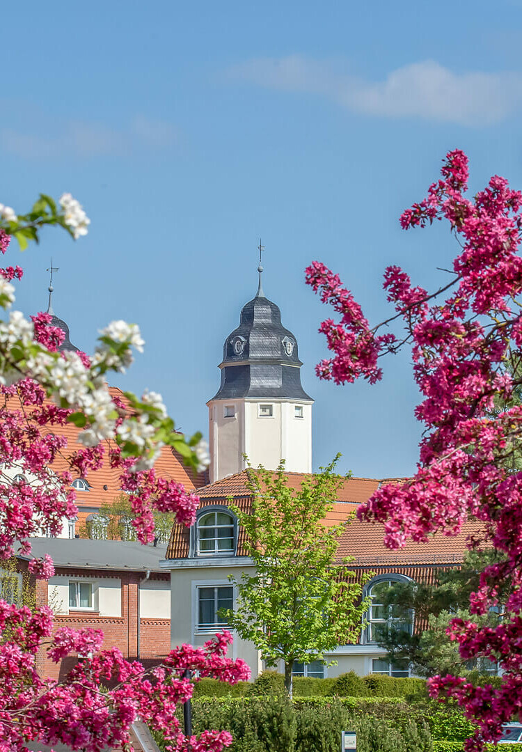 Bäume vor dem Schloss Fleesensee im Frühling.