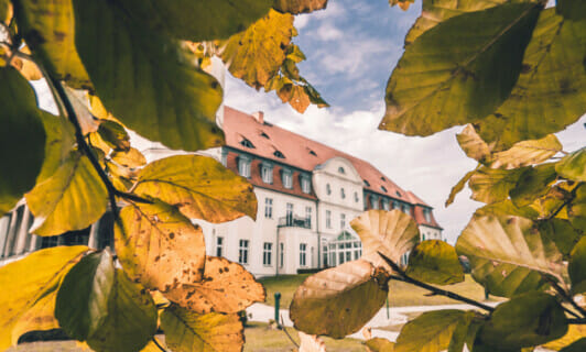 Blick auf das Schloss Fleesensee durch Herbstblätter.