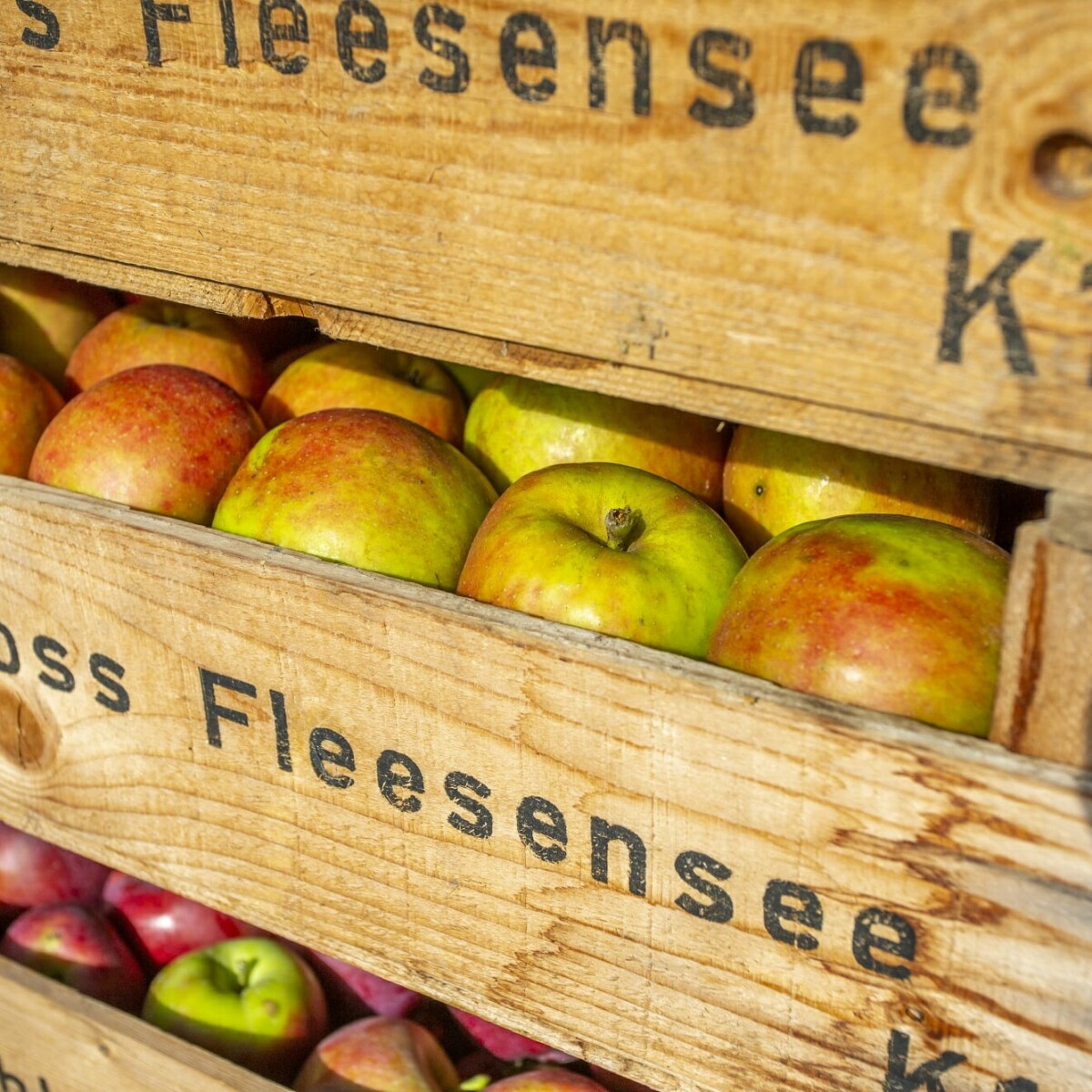 Äpfel in Holzkisten aus der hauseigenen Landwirtschaft beim Schloss Fleesensee.