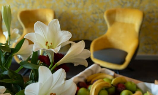 Service im Schlosshotel Fleesensee in Göhren-Lebbin im Urlaub an der mecklenburgischen Seenplatte