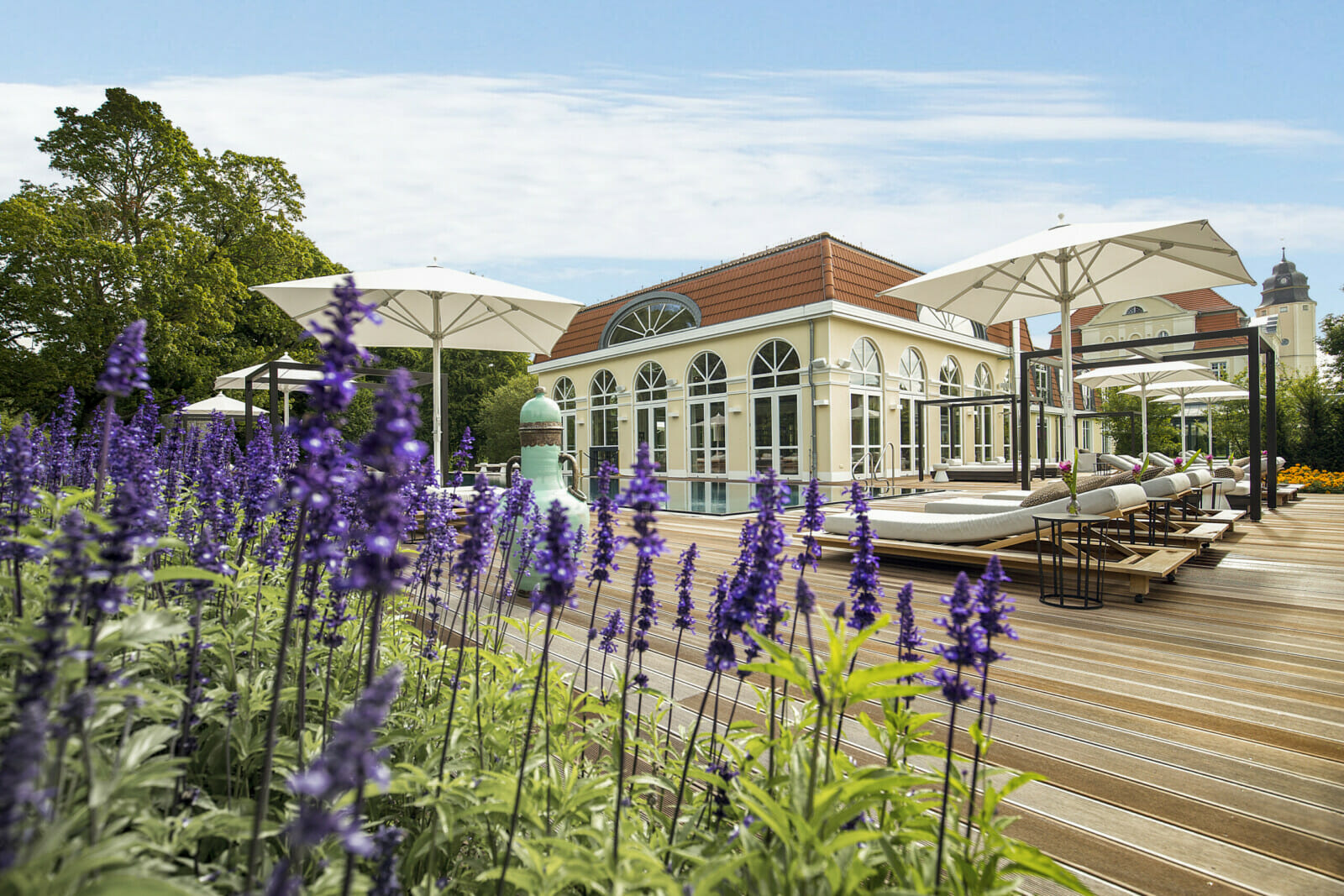 Lila Blumen vor dem Deck des Pools am Spa SCHLOSS Hotel Fleesensee.