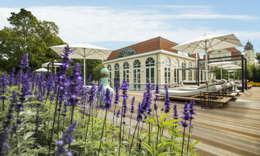 Lila Blumen vor dem Deck des Pools am Spa SCHLOSS Hotel Fleesensee.