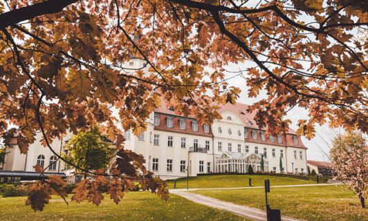 Ein Baum im Herbst, dahinter das Schloss Fleesensee.