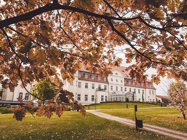 Ein Baum im Herbst, dahinter das Schloss Fleesensee.