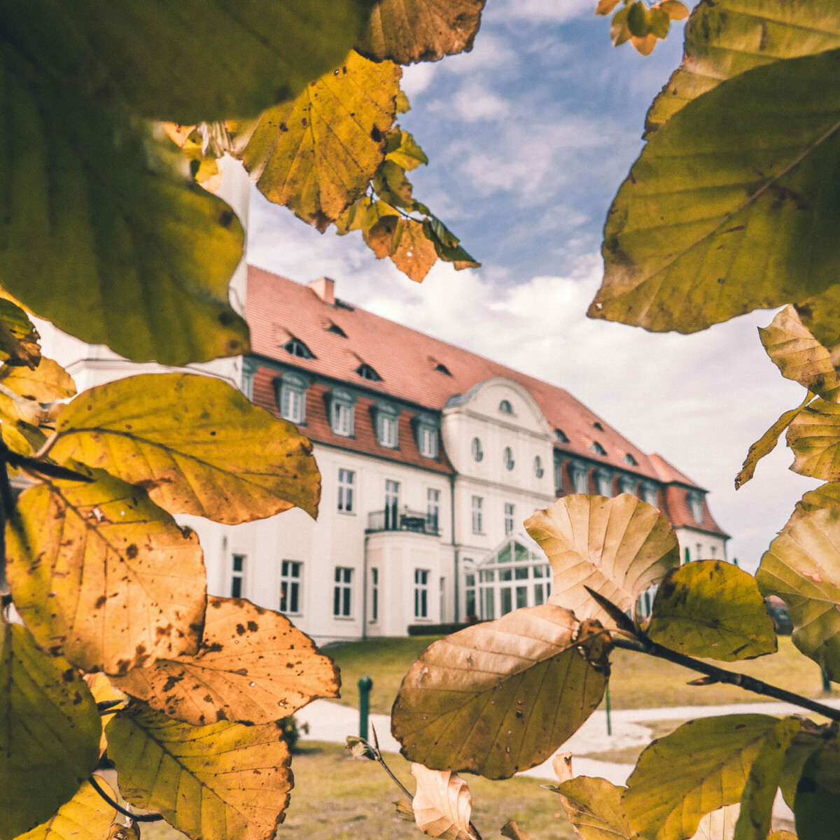 Blick auf das Schloss Fleesensee durch Herbstblätter.