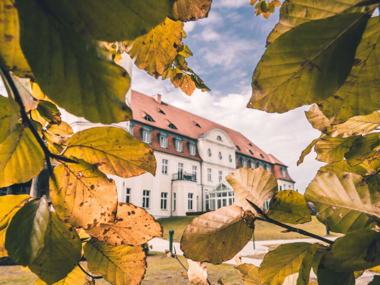 Blick auf das Schloss Fleesensee durch Herbstblätter.