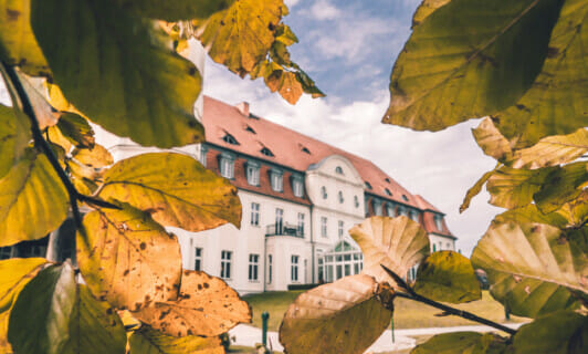 Blick auf das Schloss Fleesensee durch Herbstblätter.