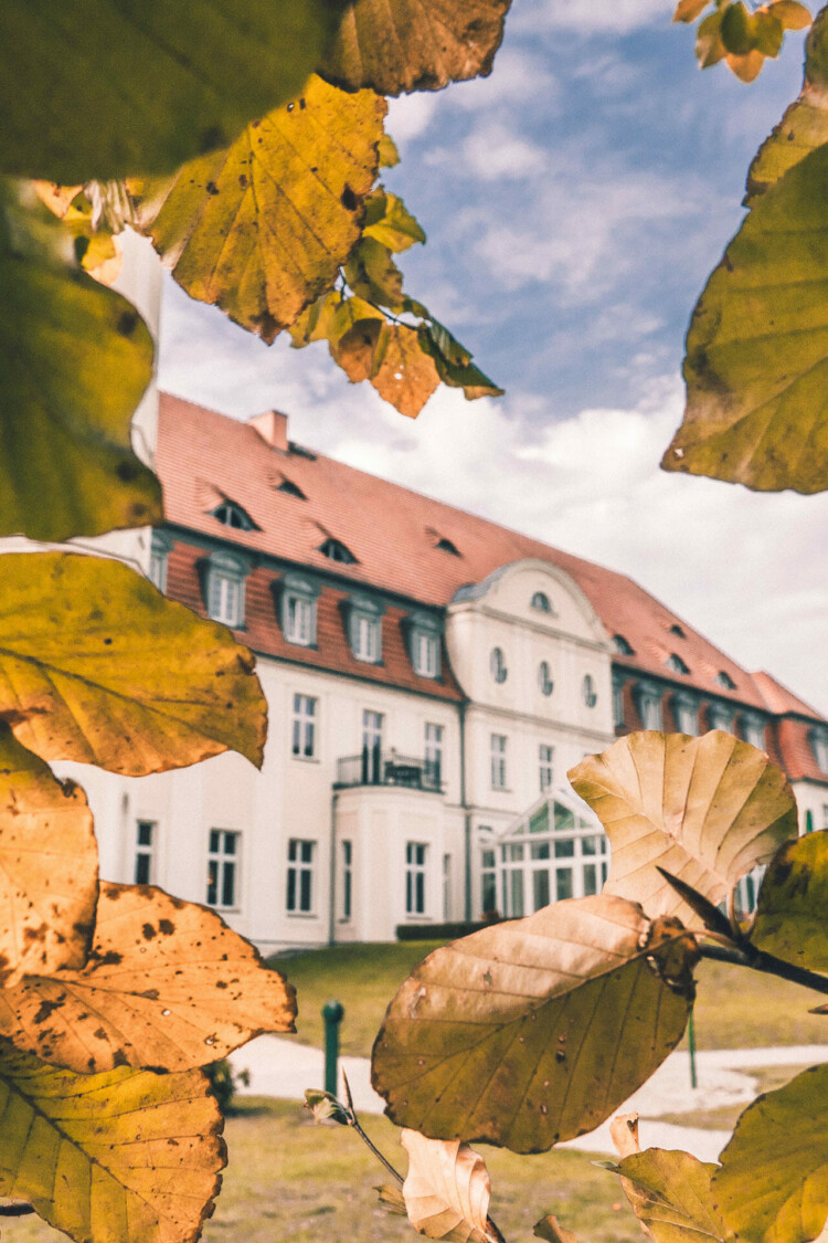 Blick auf das Schloss Fleesensee durch Herbstblätter.