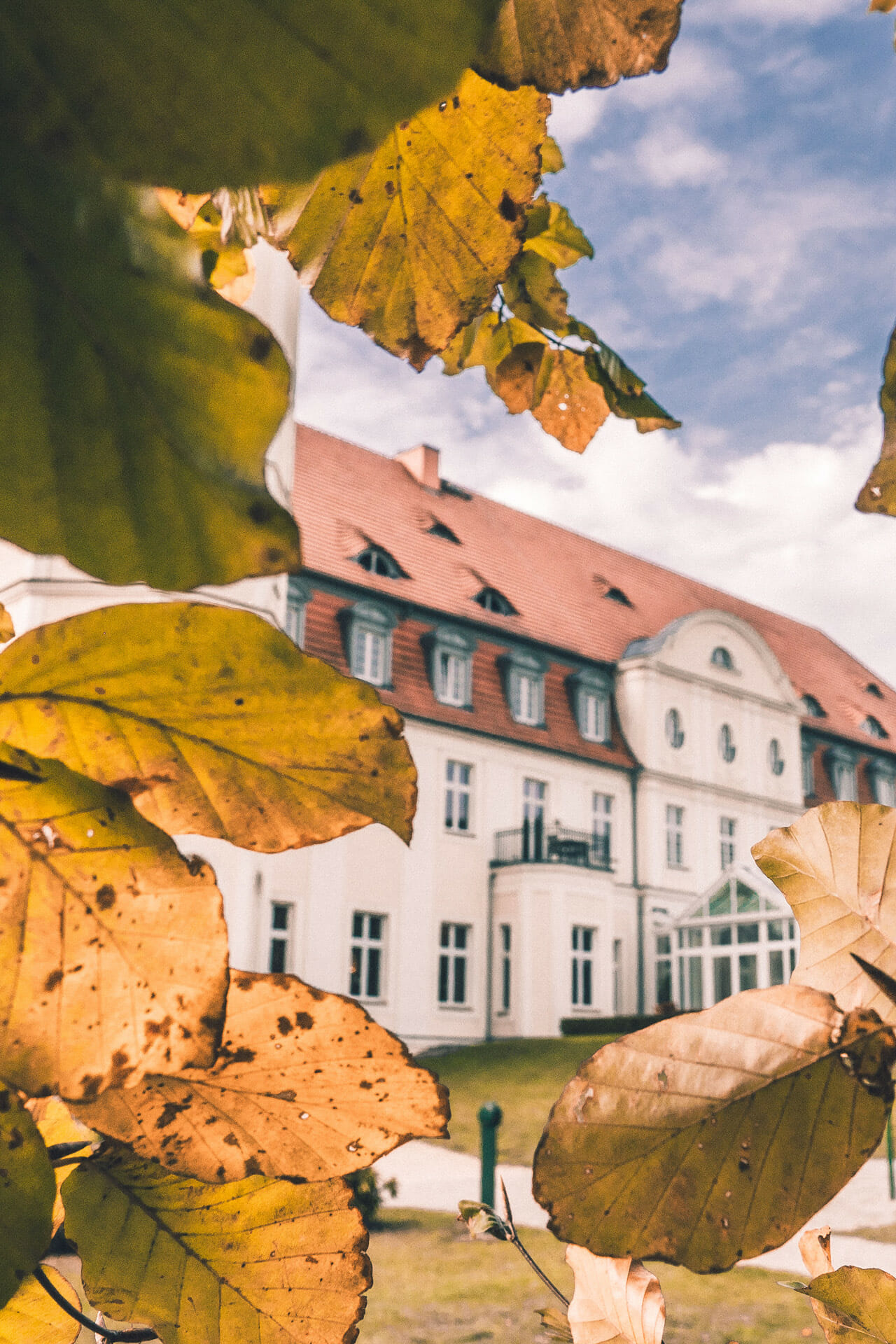 Blick auf das Schloss Fleesensee durch Herbstblätter.