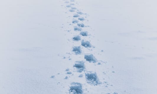 Schneespuren