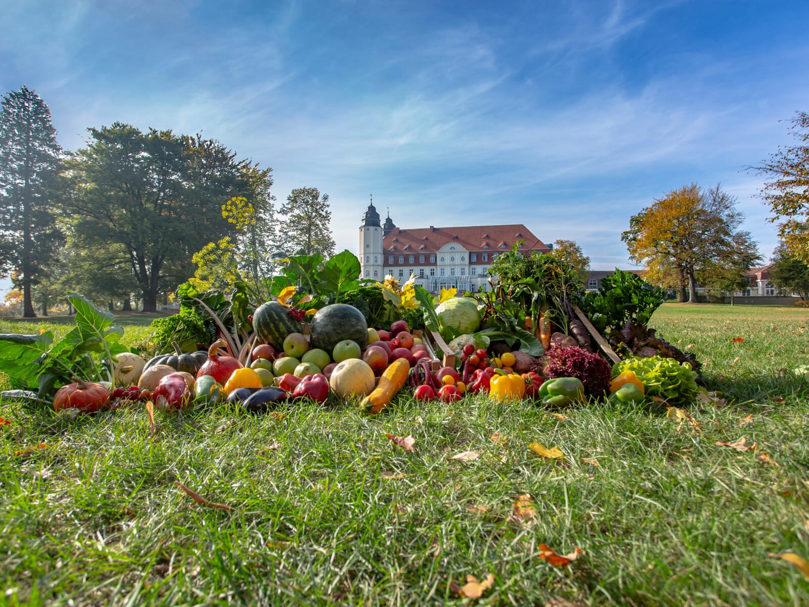 Landwirtschaft im Schloss Fleesensee