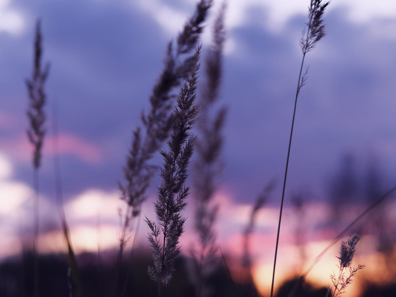 Im Sonnenuntergang an einem Sommerabend mit Ayurveda und Signature-Behandlungen entspannen