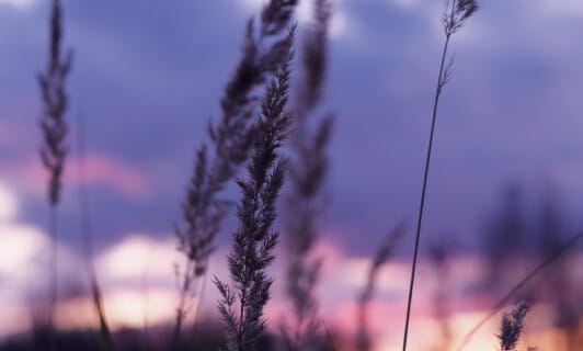 Im Sonnenuntergang an einem Sommerabend mit Ayurveda und Signature-Behandlungen entspannen