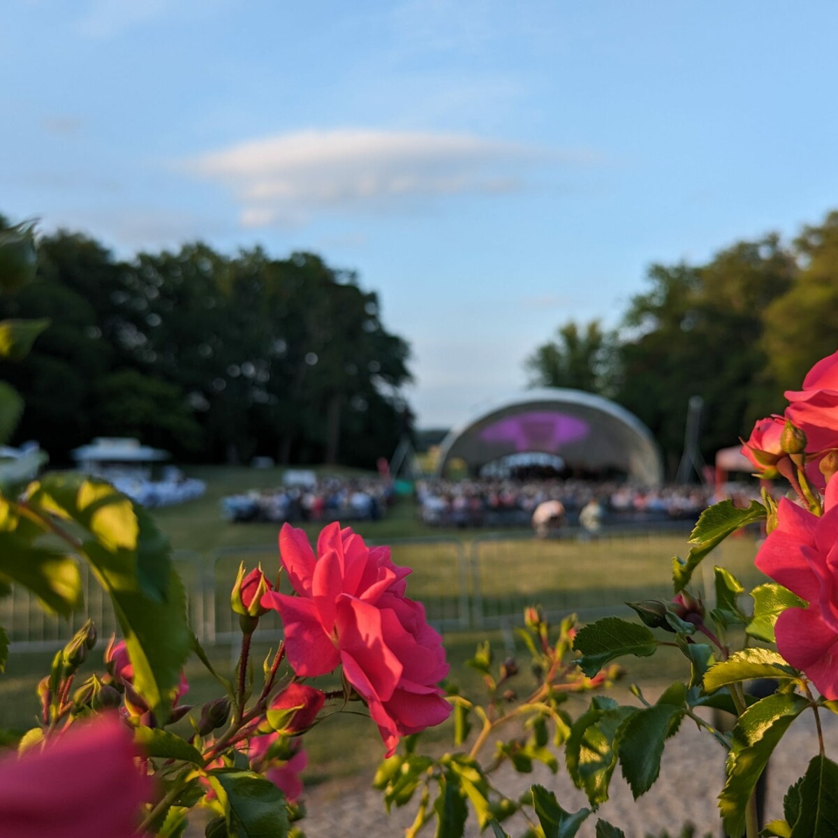 Sommerabend im Schlosspark Schloss Fleesensee