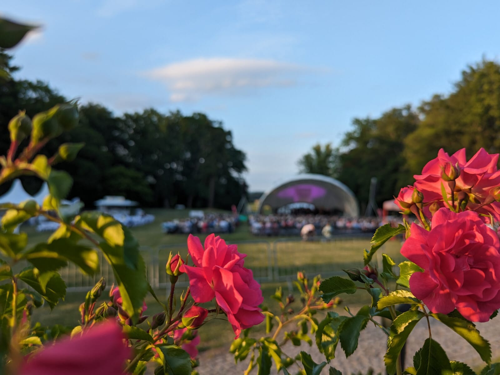 Sommerabend im Schlosspark Schloss Fleesensee