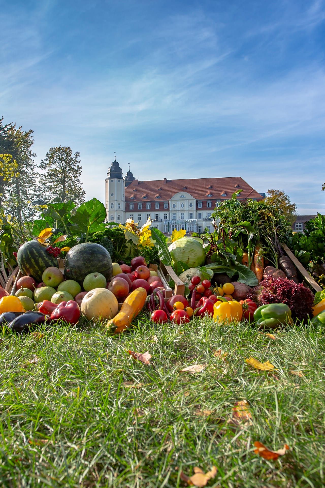 Landwirtschaft im Schloss Fleesensee