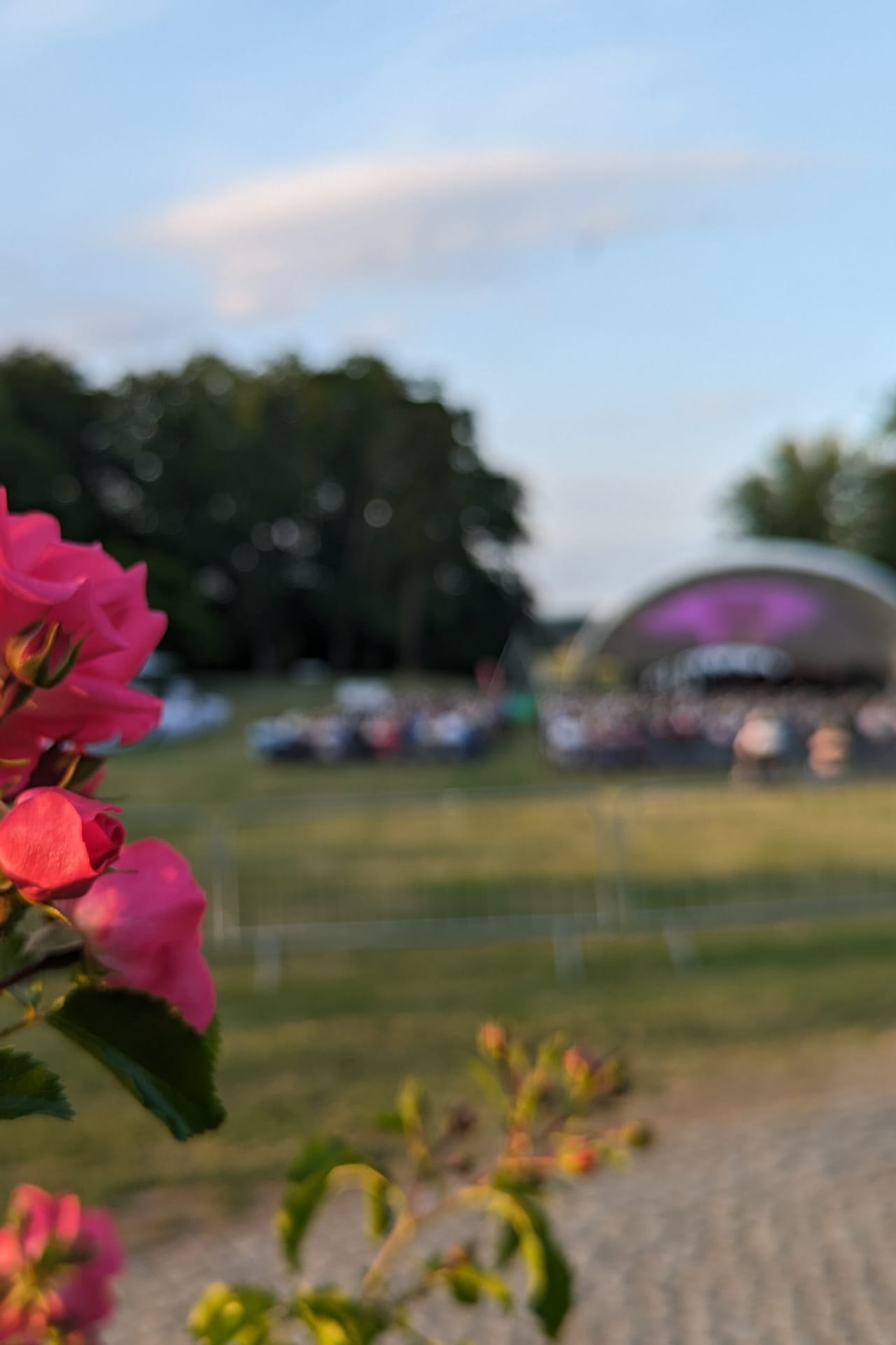 Blumen im Schlosspark Fleesensee