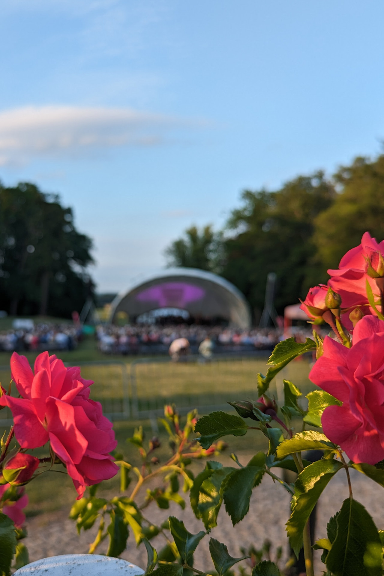 Sommerabend im Schlosspark Schloss Fleesensee