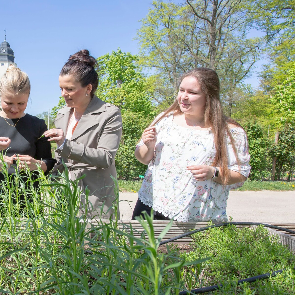 Kräutergarten Workshop Incentive im Schlosshotel Fleesensee