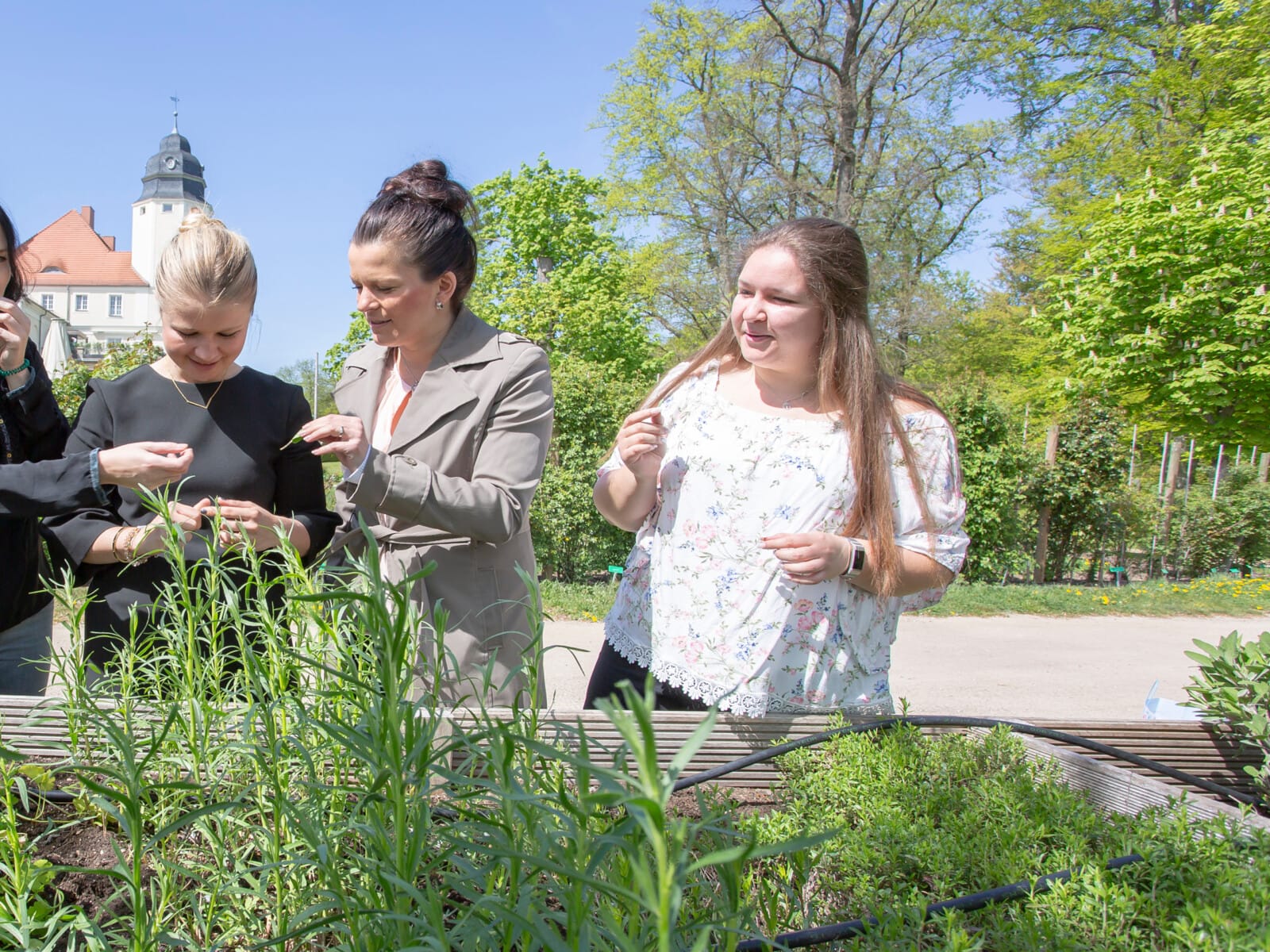 Kräutergarten Workshop Incentive im Schlosshotel Fleesensee