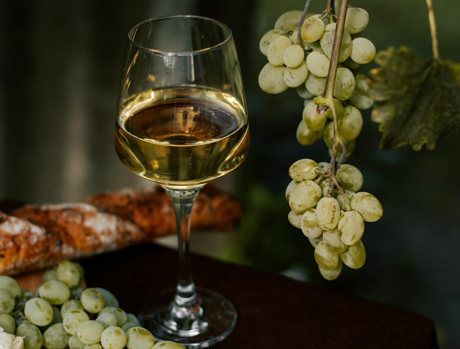 Weißwein Glas und Weintrauben beim Wein Tasting Event am Fleesensee