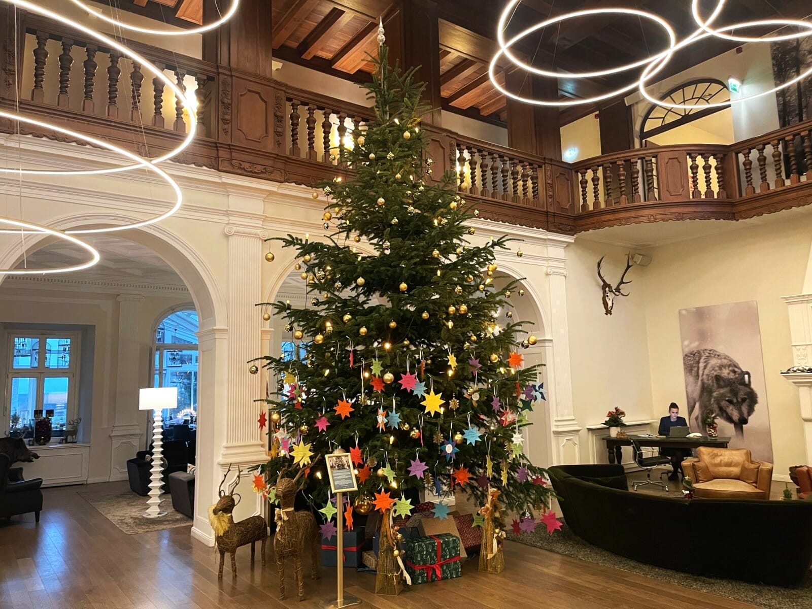 Wunschbaumaktion im Schlosshotel Fleesensee für den gutes Zweck