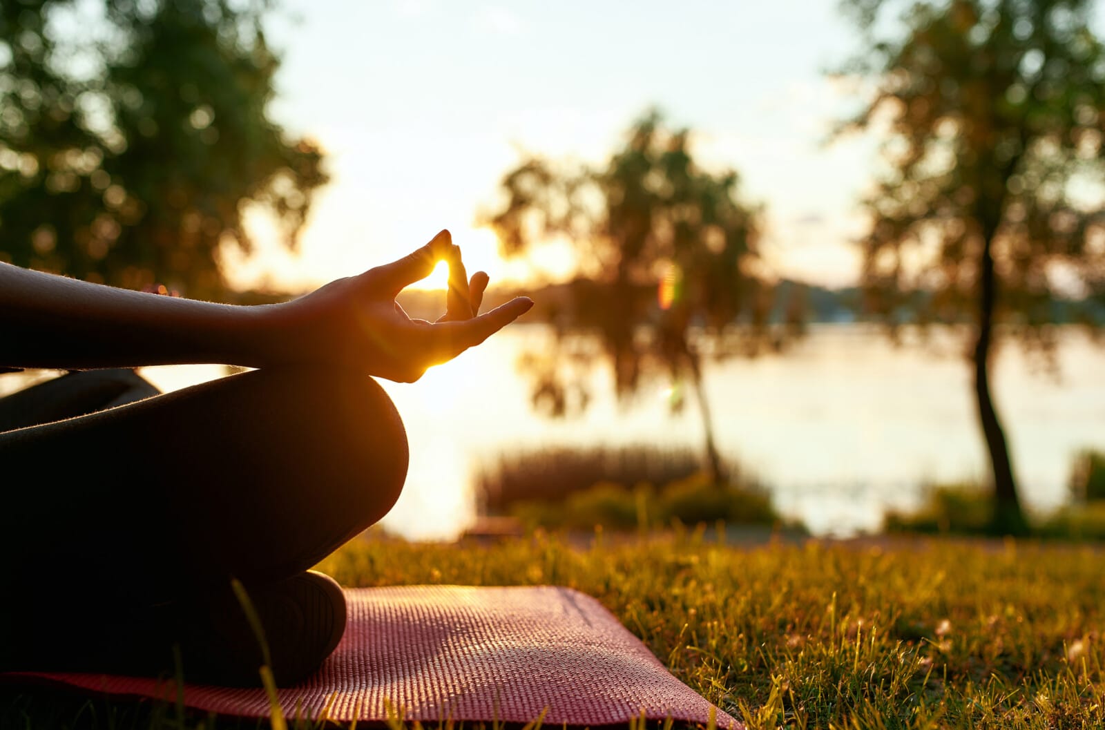 Digital Detox Retreat in mitten der Natur am Fleesensee