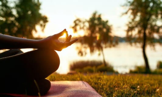 Digital Detox Retreat in mitten der Natur am Fleesensee